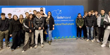 Powiększ grafikę: skills-poland-661212.jpg