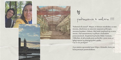 Powiększ grafikę: AKREDYTACJA VET – MOBILNOSĆ KADRY  