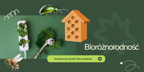 Powiększ grafikę: AKREDYTACJA VET – MOBILNOSĆ KADRY  